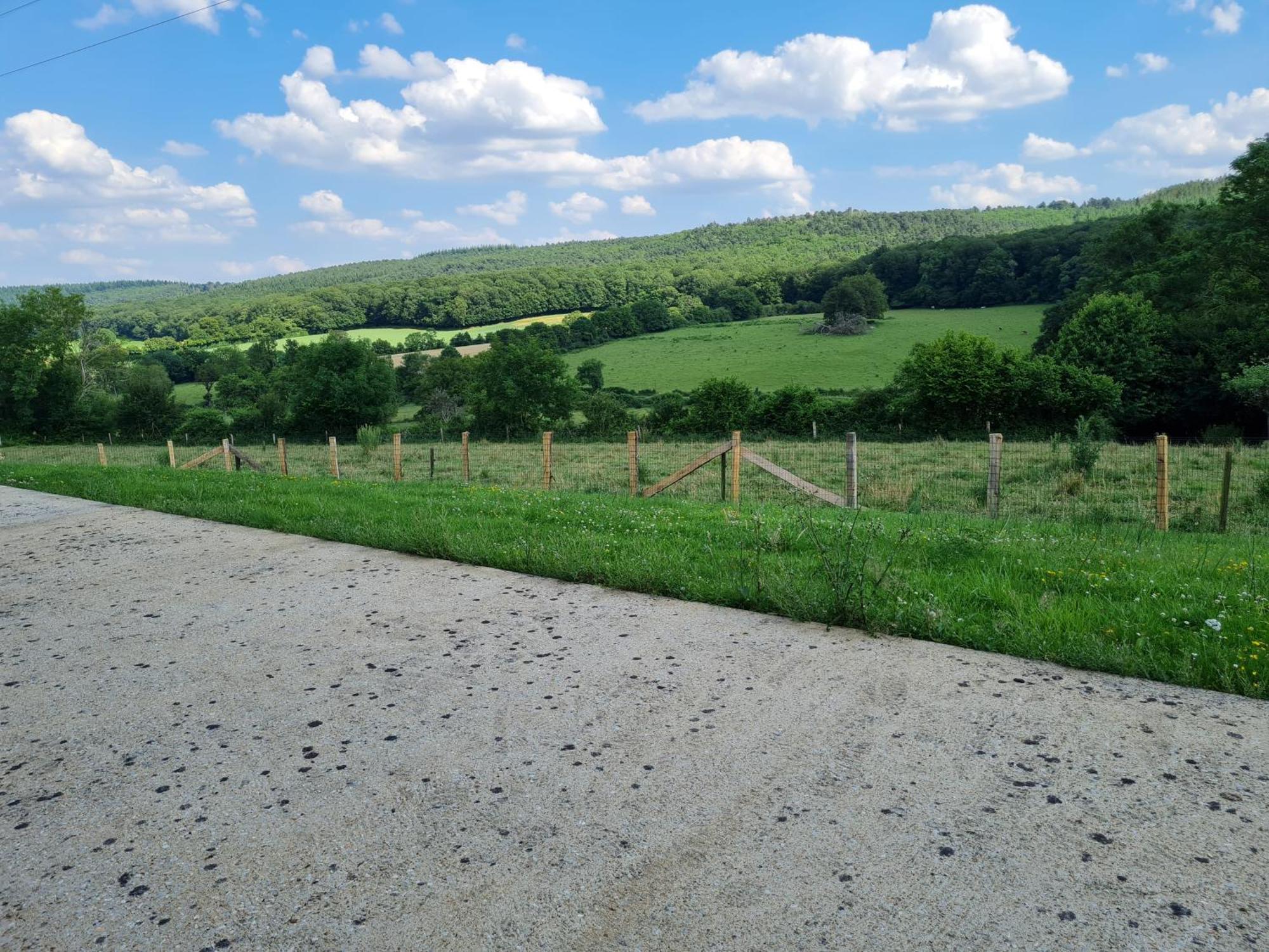 Gite Avec Vue Panoramique, Ideal Pour Un Weekend ! Mont-Saint-Jean  Exteriör bild